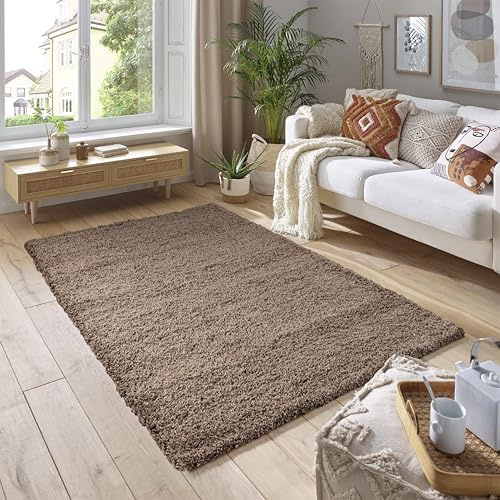SmartLiving Rug 60 x 110cm Dark Beige Shaggy Rug Soft Thick 5cm Pile Modern Shimmer Area Rug, Fluffy Non Slip Bedroom Living Room Hallway Carpet, Luxury Shiny Floor Rug