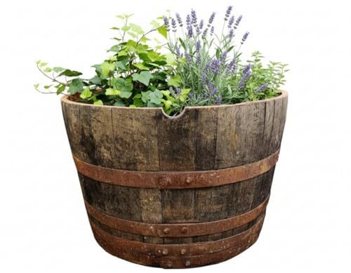 Celtic Timber Barrel Planter - Rustic Outdoor Plant Pot - Made from Aged Quarter-Sawn Oak - Weathered Wood for Outdoor Plants, Garden, Trees - Oak Whiskey Half Barrel Planter - 27.5 Gallon Dumpy