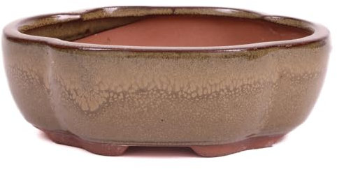 generisch Bonsai - Schale oval 15 x 12 x 5.5 cm Hellbraun 15026