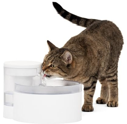 PetSafe Fontaine à Eau Outlast sans Pompe, 1,7 L, Fontaine à Eau pour Petits Chiens et Chats, Passe au Lave-Vaisselle, Assemblage et Nettoyage faciles, Filtre Inclus