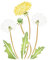 Pusteblume Schablone, 20,32 x 25,40 cm (M) - Stencil Company Original Dandilion Puff Wandschablone mit Blume