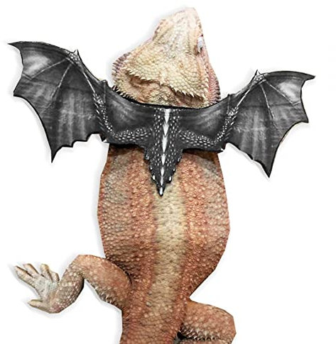MiOYOOW Bartagamen Geschirr verstellbare Eidechsenleine Reptiliengürtel Cooles Eidechsen Geschirr mit Tyrannosaurus Flügeln aus Leder für Geckos Bartagamen Chamäleons Leguane