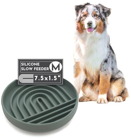 Slow Feeder Dog Bowl: The Slowdown Bowl is A Modern, Silicone Puzzle Bowl & Lick Mat. Slow Eating, Stop Gulping, Take It Easy. This Slow Feeding Bowl is Dishwasher Safe. (Spruce)
