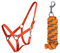 ARBO-INOX Halfter-Set Beginner de lux - Halfter + Führstrick - graue Akzente - verstellbar (Shetty, Orange)