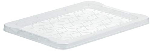 Rotho Evo Easy Deckel, Kunststoff (lebensmittelecht) BPA-frei, transparent, (39,3 x 28,3 x 1,8 cm)