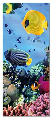 Pixxprint Glasbild Panorama, Wandbild aus Echtglas, Fische im Korallenriff, 100x40 cm, inkl. Aufhängung und Abstandshalter