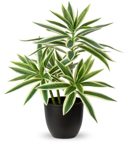 Oairse Plantes artificielles en pot noir de 41 cm - Dracaena artificielles décoratives - Plantes d'intérieur réalistes pour la maison, la salle de bain, le salon, la cuisine, l'étagère, la décoration
