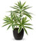 Oairse Plantes artificielles en pot noir de 41 cm - Dracaena artificielles décoratives - Plantes d'intérieur réalistes pour la maison, la salle de bain, le salon, la cuisine, l'étagère, la décoration
