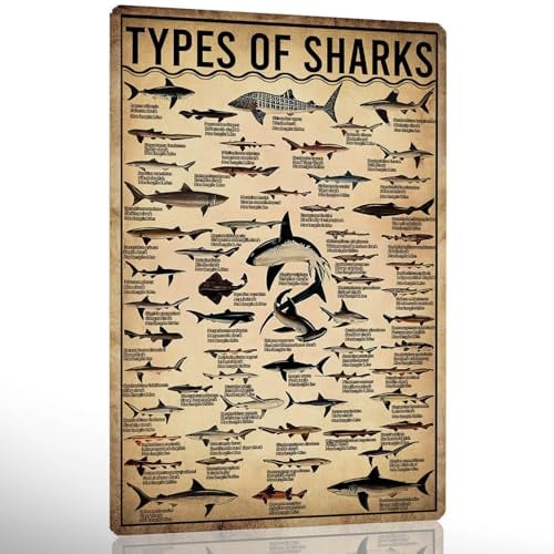 Shark Room Decor Types Of Shark Poster Wissen Blechschild Ozean Tier Poster Wal Dekor für Schlafzimmer Wissenschaft Wandkunst Marine Biologie Geschenke für Liebhaber 30,5 x 20,3 cm
