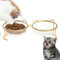 Glass Bowl for Cat Food and Water - Microwavable Glass Bowl for Cats with Stand | Raised Glass Cat Bowl Dishwasher Safe Non-Slip Stand for Food and Water Feeding