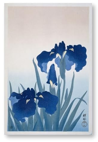 Close Up Ohara Koson Poster | Irises - Iris Flower - Schwertlilien | Entstanden um 1925-36 | Japanisches Vintage Plakat | Ukiyoe | 61 x 91,5 cm