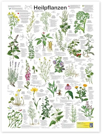 Heilpflanzen Poster von Planet Poster Editions 30 x 40 cm Grün Wandbilder Wanddeko