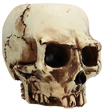 HEEPDD Skull Head Flower Pot Resin High Strength Clear Shape Skull Planter for Home Office Desk Decoration Add a Touch of Gothic Charm to Your Space