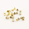 3mm en laiton massif double rivets plats, rivets à main rivets à pics rivets en cuir pour la fabrication de sacs, vêtements, chaussures. doré H7