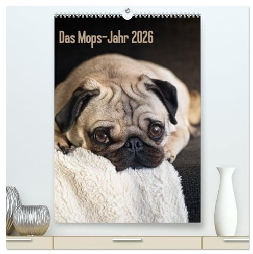 Das Mops-Jahr 2026 (hochwertiger Premium Wandkalender 2026 DIN A2 hoch), Kunstdruck in Hochglanz: Die Mops-Hündin Hilde ist die ständige, ... Beate Zoellner (CALVENDO Tiere)