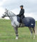 Waldhausen Fliegenausreitdecke Comfort, Nachtblau, 145 cm