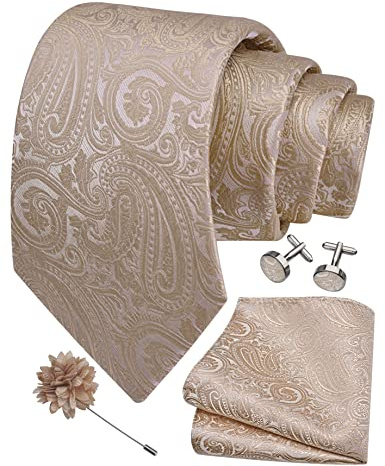 Gusleson Mens Champagne Tie for Wedding Beige Paisley Necktie Pocket Square Cufflinks and Lapel Pin Brooch Set (UK6103-25)