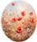 HEALANCY Bilder Blumen - KOMPLETT AUFHÄNGFERTIG - Wandbilder Wohnzimmer - Deko Modern - Schlafzimmer - Room Decoration - Kunstdruck Wanddeko Küche - Gemälde Mohnblumen Natur Wiese