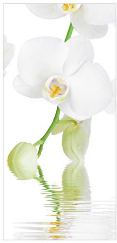 Bilderwelten Raumteiler Wellness Orchidee Blumenbild 250x120cm mit transp. Halterung