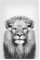 artboxONE Poster 30x20 cm Schwarz-weiß Tiere Portrait of a Lion - Bild Lion Animal Portrait King
