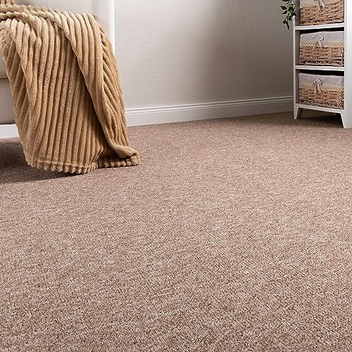 Steffensmeier Schlingen Teppichboden Meddon XL Meterware | Auslegware für Flur Büro | 1m 2m 3m 4m 5m breit! | Beige, Größe: 400x400 cm