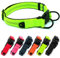 Beshine Adjustable Dog Collar, Reflective Nylon Neoprene with Separate ID Ring and Double D Ring, Durable and Comfortable Puppy Collar for Medium Dogs(M, Green)