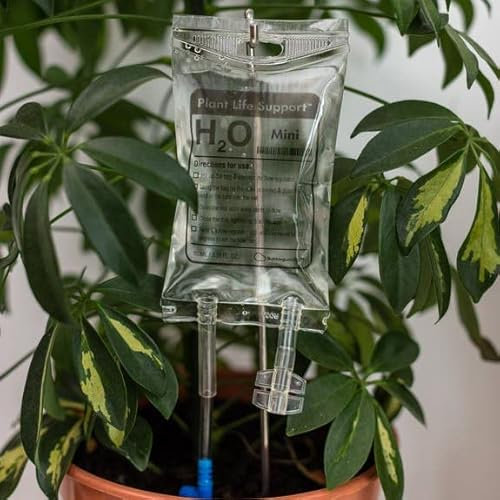 Bubblegum Stuff - Mini dispositivo di irrigazione a goccia con supporto vitale per piante da appartamento | Sistema di irrigazione automatico | 3,5 once fluide - Abbeveratoio per piante da interno..