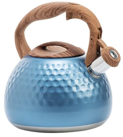 PRETYZOOM 1stk Hupen Brennen Induktionsherd Wasserkocher Herdpfeifen Teekessel Elektrische Teekannen Campingkocher Teekessel Aus Metall Teekocher Sieden Heizung Klangtopf Rostfreier Stahl