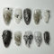 GlamRays 24 Stück Black Press on Nails Medium Almond Fake Nails mit 3D Metall Schleife Perlen Design, Schwarzer Gradient, Vollständiger Überzug, Falsche Nägel, Wassertropfen