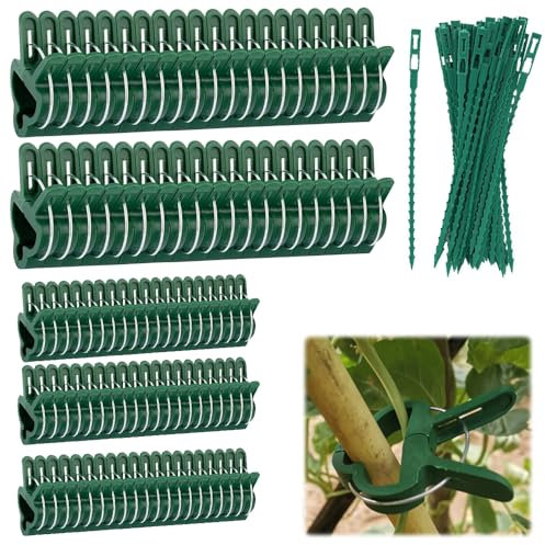 Foreverup 120 Stück Pflanzenclips, Stabile Pflanzenklammern, 2 Größe Gartenpflanze Clips, Besonders einfache Rankhilfe für Pflanzen, für Kletterpflanzen Befestigung(40Große+60Klein+20Pflanzenbändern)