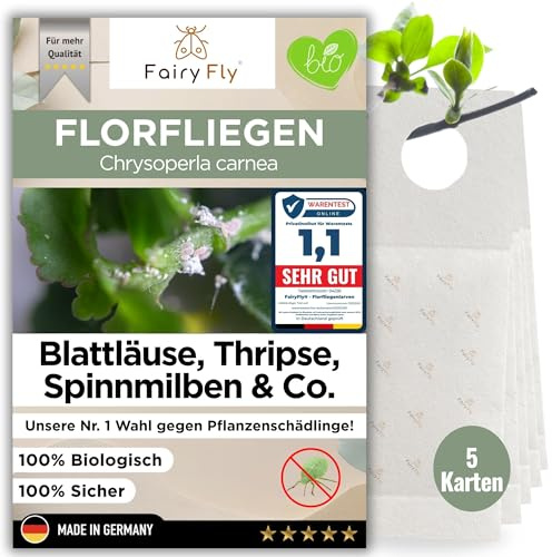 FairyFly® Florfliegenlarven gegen Blattläuse & Wollläuse (5 Karten) – Nützlinge zum Aufhängen für Zimmerpflanzen – biologische Schädlingsbekämpfung ohne Chemie – Florfliegen Eier
