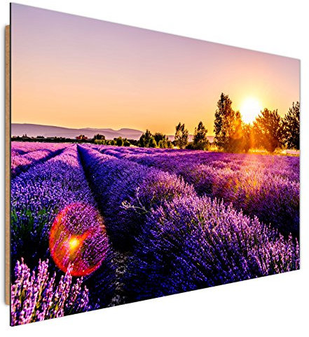 Feeby. Wandbilder - 1 Teilig- 30x40 cm - Bilder Kunstdrucke Deko Panel, Wiese, Lavendel, Natur, VIOLETT