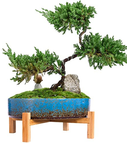 ARTKETTY Macetas de cerámica para bonsái de 29 cm con Drenaje, Maceta Grande para Plantas suculentas de Interior, Maceta Decorativa con Soporte