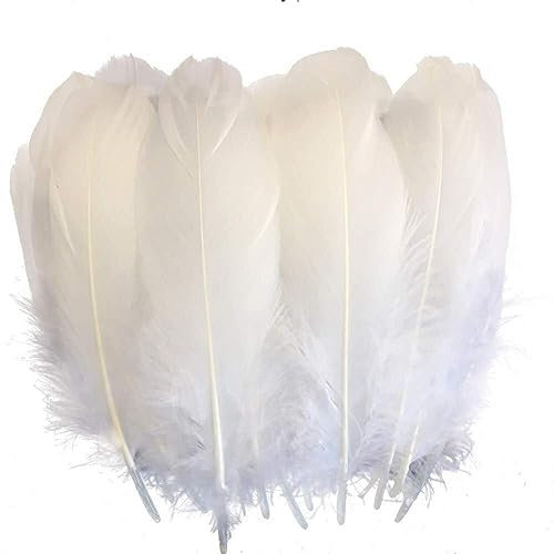 Vepoty Naturfedern Plume 100pcs Bunte Schwanenfeder Plume Soft Craft Plume für Zuhause Hochzeitsdekoration