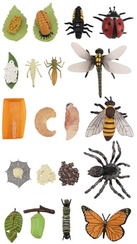 Sirxlevcy Life Cycle Figurines of Butterfly Spider Bee Ladybug Dragonfly, Plastic Insect Bug Figures Toy, School Project for Kids