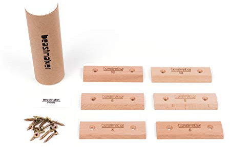 Beastmaker Micros - Campus Rungs