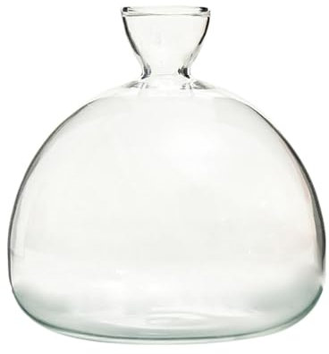 Vase de – Vase de culture d'avocat en verre, pot de fleurs transparent | Bol de culture léger avec résistance à la chaleur, pot d'avocat pour témoigner de l'ensemble du processus de germination