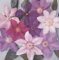 Clematis Macropetala Large Hybrid Clematis Seeds (Pack of 5) : Seeds Only
