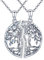 Friggem Collier 2 pièces arbre de vie soeurs pour femmes, collier pendentif soeurs en argent sterling, chaîne de 18 arbre généalogique de vie Zircon bijoux d'amitié cadeaux pour femmes soeur