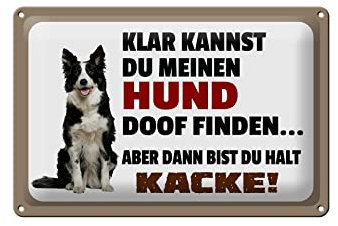 FEMER Blechschild Spruch 30x20cm klar Kannst du Hund doof Finden