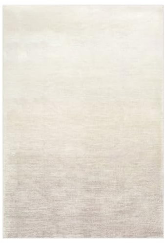 IDIMEX Teppich Ombre waschbar 200 x 300 Hellbraun, Teppich mit Farbverlauf, Ombre-Effekt, weicher Kurzflor-Teppich modern, gummierte Unterfläche, schmutz- und wasserabweisend