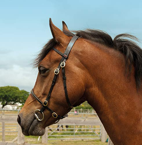 Windsor Quality Leather Brass In-hand Bridle (Black, Pony)