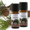 100% naturreines Ätherisches Öl - Zirbenöl, 2x10ml
