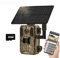 4G LTE Solar Wildkamera, 4MP 15fps Solar Wildtierkamera mit Handyübertragung App,PIR Bewegungsmelder, 90°Erfassungs Winkel Bewegungsmelder IP66 Wasserdicht für Wildtierbeobachtung (Wildkamera+32G)