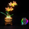 HAIWENFEIQI Kit di illuminazione a LED per modello Lego 10343 Orchidea, luci LED compatibili con modello Lego 10343 Orchid (illuminazione remota)