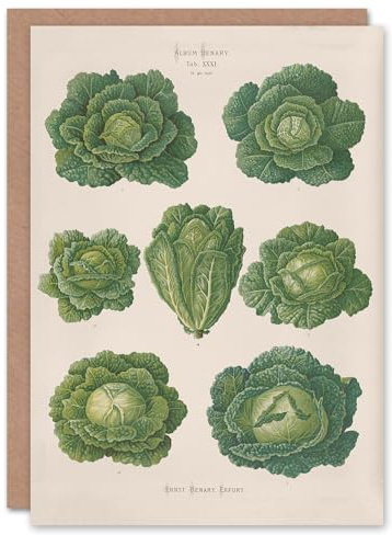 Artery8 Ernst Benary Art Card Savoy Cabbages Vintage Botanical
