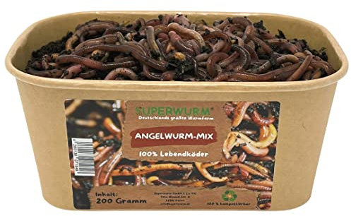 200g Angelwurm-Mix | 100% kompostierbare Köderdose - hoch aktive Angelköder - Lebendköder - Dendrobena
