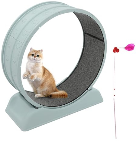Katzenlaufrad 80cm – Großes Laufrad für Wohnungskatzen, Robuster Fitnessrad mit Sicherheitsschnalle, Teppich & Spielangel – Für alle Katzen bis 10kg (Blau)
