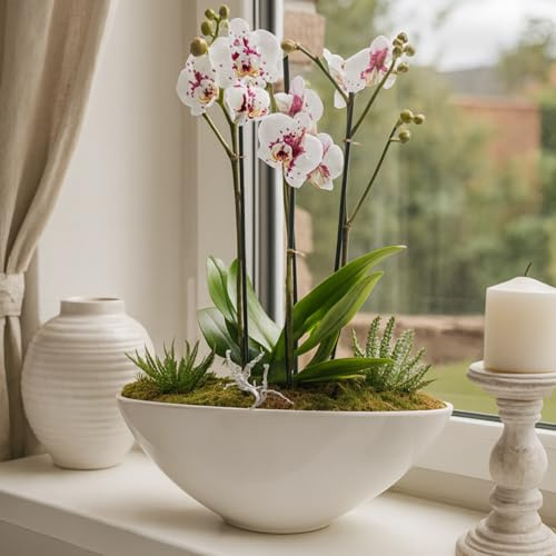 Pflanzschiff aus Keramik Weiß – Elegantes Pflanzgefäß für Orchideen und Zimmerpflanzen – Modernes Design für Indoor und Outdoor – Hochwertige Dekoschale