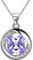 Jewmon Weihnachtsschmuck Geschenk Dezember Geburtsstein Halskette 925er Sterling Silber Damen Geburtstagsgeschenke für Frau Freundin Steinbock Schmuck FP0143D